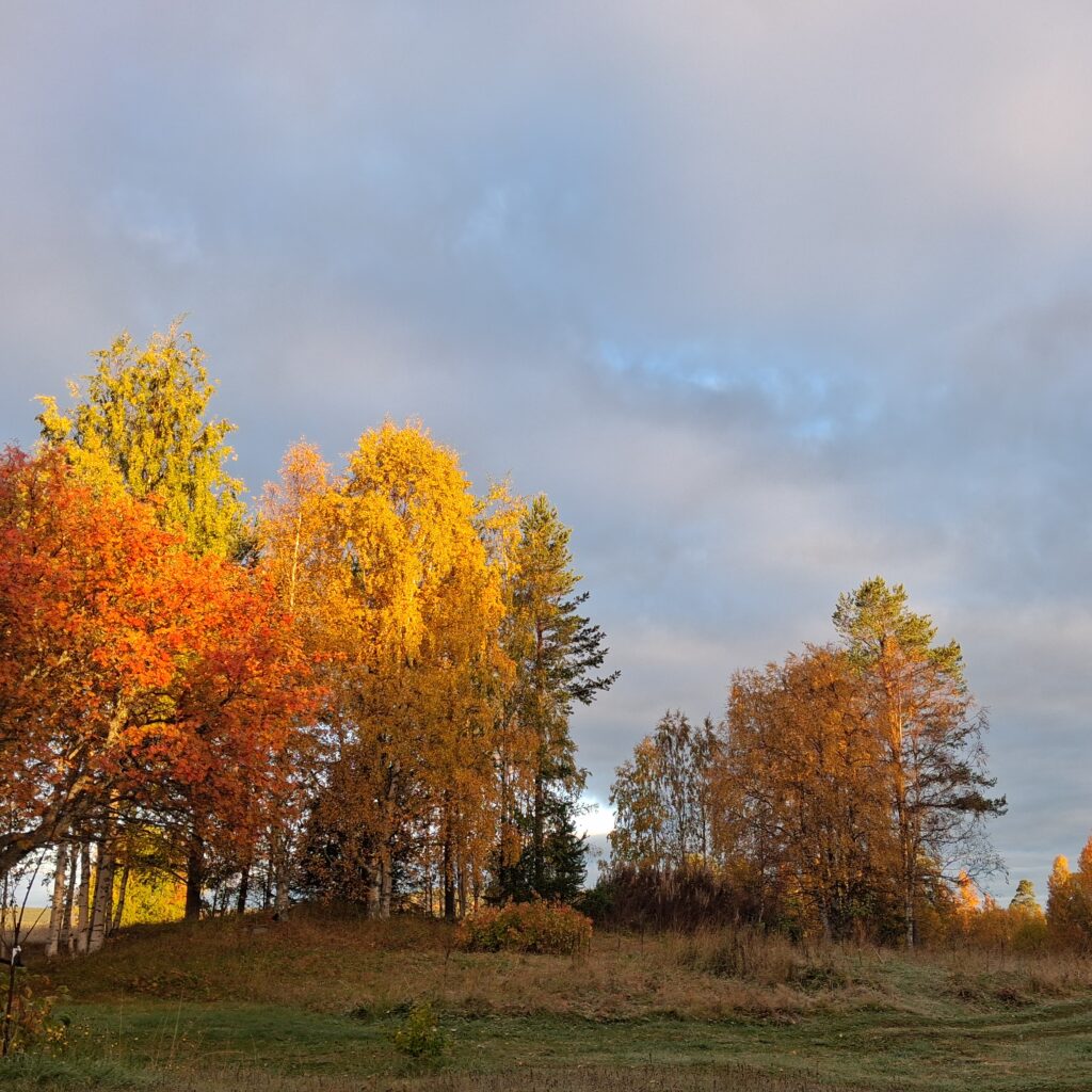 boerderij landschap