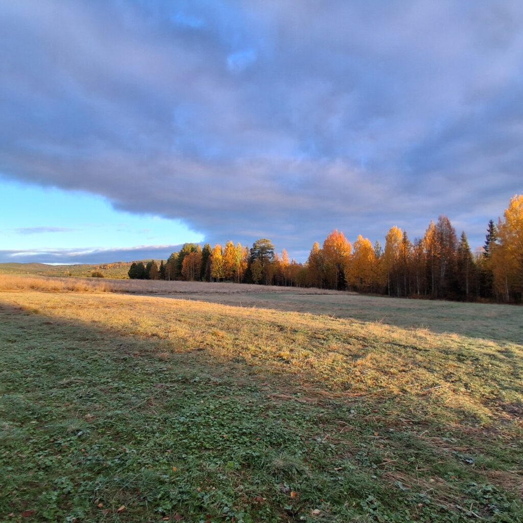 boerderij landschap